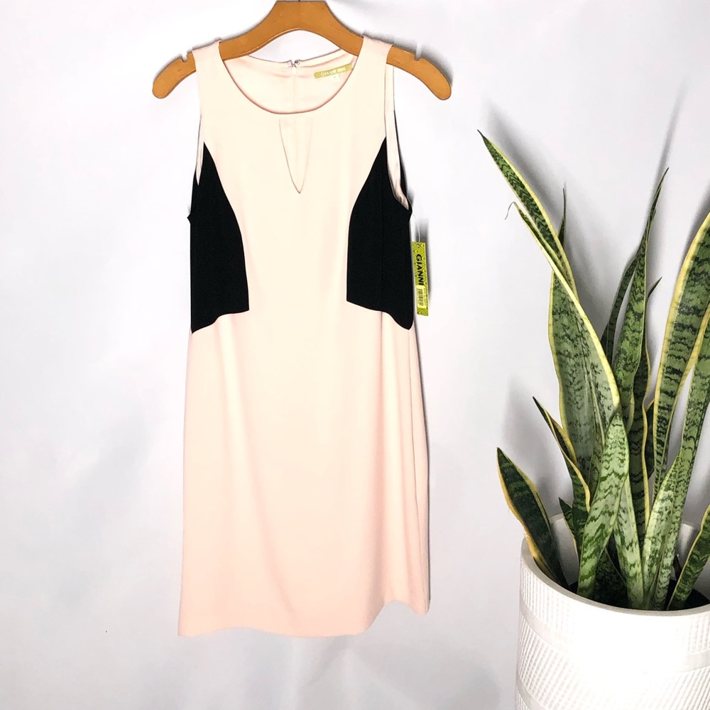NWT Gianni Bini sheath cocktail dress. Size 8.